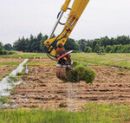 Harvesting Sphagnum moss (Picture: Greta Gaudig). Harvesting Sphagnum moss (Picture: Greta Gaudig).