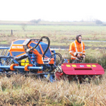 Irus belt rake swathers raking cattail crop (Picture: Jens-Uwe Holthuis). Irus belt rake swathers raking cattail crop (Picture: Jens-Uwe Holthuis).