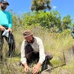 Peatland research in Brasil (Picture: Ianna Souza).