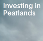 Report Cover Investing in Peatlands (Picture: mlightbody). Report Cover Investing in Peatlands (Picture: mlightbody).