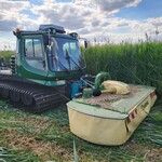 Moorraupe bei der Ernte (Foto: Sebastian Petri).