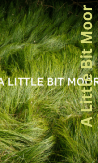 Cover "A little bit Mo(o)re". Layout: Projektgruppe "A little bit Mo(o)re".