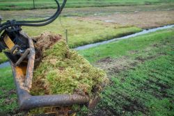 Peat moss harvest.