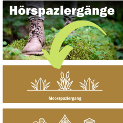 Moorspaziergang in Greifswald App (Screenshot aus Greifswald App) Moorspaziergang in Greifswald App (Screenshot aus Greifswald App)