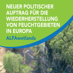 Policy Briefs zur Wiederherstellung degradierter Moor-Ökosysteme