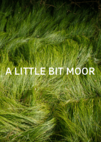 Cover "A little bit Mo(o)re". Layout: Projektgruppe "A little bit Mo(o)re".