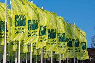 Flags with the Green Week logo (Image source: Messe Berlin)