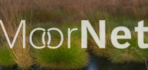 MoorNet MoorNet