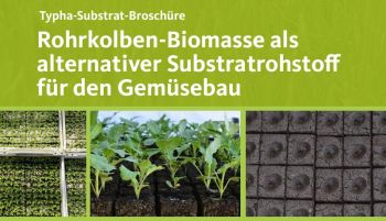 Typha-Substrat-Brochure: Rohrkolben-Biomasse als alternativer Substratrohstoff für den Gemüsebau