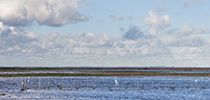 WETSCAPES [EN]