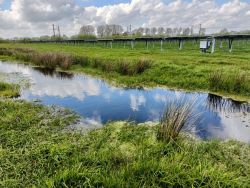 Photovoltaics on the test area in Lottorf (Picture: Monika Hohlbein).