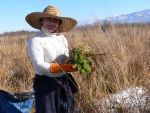 Georgian botanist Izolda Matchutadze during field work (M. Krebs)