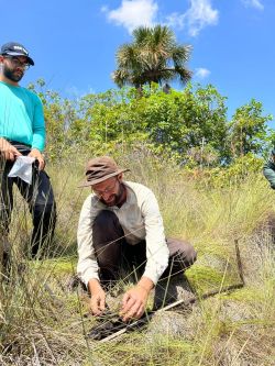 Peatland research in Brasil (Picture: Ianna Souza).