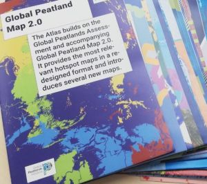 Global Peatland Hotspot Atlas.