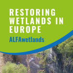 Policy Briefs for restoring wetlands in Europe