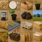 Paludi Katalog (Foto: Eigene Darstellung, erstellt mit DALL·E (OpenAI, 2025), KI-generiert.)