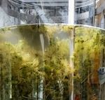 Sphagnum culture in a 50L bioreactor at the FH Köthen (Picture: Maria Glaubitz). Sphagnum culture in a 50L bioreactor at the FH Köthen (Picture: Maria Glaubitz).