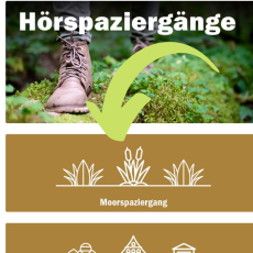 Audio walk "Peatlands near Greifswald" via Greifswald App (Screenshot from Greifswald App) Audio walk "Peatlands near Greifswald" via Greifswald App (Screenshot from Greifswald App)