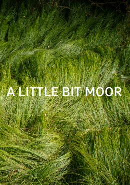 Cover “A little bit Mo(o)re” (Layout: Projektgruppe "A little bit Mo(o)re)"