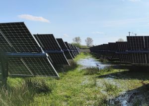 Peatland photovoltaic systems in Lottorf (Picture: Jürgen Kreyling) Peatland photovoltaic systems in Lottorf (Picture: Jürgen Kreyling)