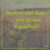 Peatlands and methane - how is that actually? (Illustration: GMC per canva). Peatlands and methane - how is that actually? (Illustration: GMC per canva).