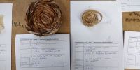 Experimentelles Arbeiten mit Moormaterialien im Workshop (Fotos: S. Abel).