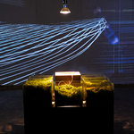 Peatland sound and light art.