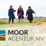 Logo MoorAgentur MV. Logo MoorAgentur MV.