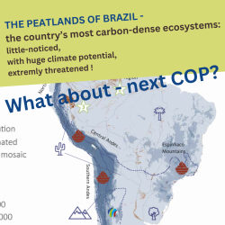 The Peatlands of Brazil The Peatlands of Brazil