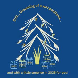 SOM-Card for christmas with schematic illustration of Christmas tree made from reed stems SOM-Card for christmas with schematic illustration of Christmas tree made from reed stems