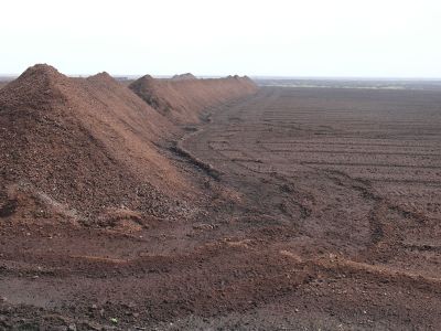 Torfabbau: karge braune Landschaft mit Torfhaufen. Frästorfabbau in der Esterweger Dose (Universität Greifswald)