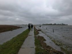 Walk across a partially flooded lane.