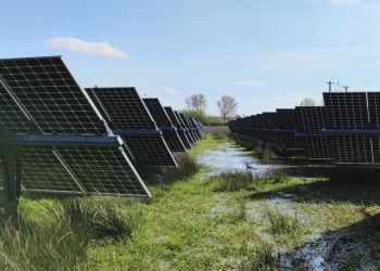 Moor-Photovoltaik-Anlagen in Lottorf (Foto: Jürgen Kreyling) Moor-Photovoltaik-Anlagen in Lottorf (Foto: Jürgen Kreyling)