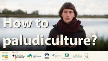 Screenshot from the film How to paludiculture? (Picture: BioFilm) How to paludiculture? (Picture: BioFilm)