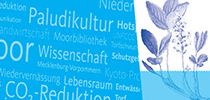 Paludikultur-Pflanzen im Paludarium [DE]