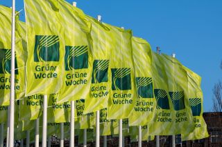 Fahnen mit Logo der Grünen Woche (Bildquelle: Messe Berlin) Fahnen mit Logo der Grünen Woche (Bildquelle: Messe Berlin)
