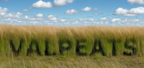 Valuation of Peatland Ecosystem Services (VALPEATS) Valuation of Peatland Ecosystem Services (VALPEATS)